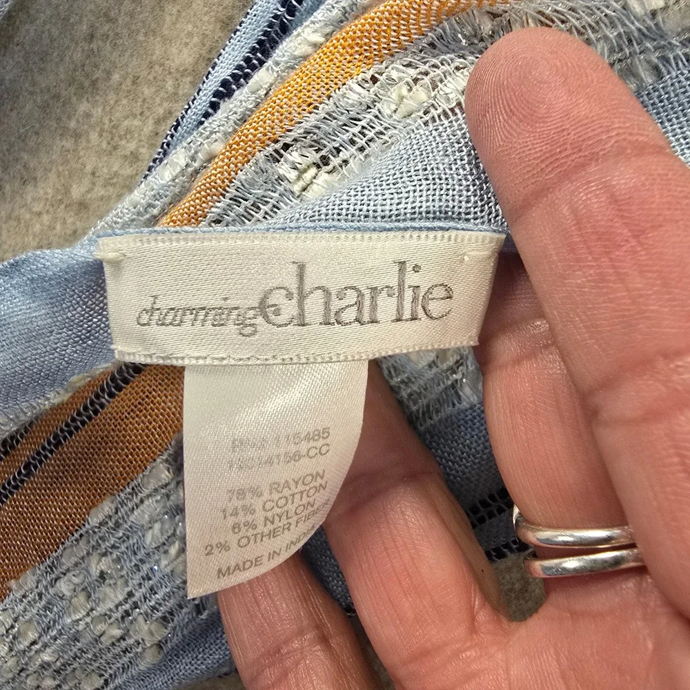 Charming Charlie Blue Orange Striped Metallic Fringe Scarf Lightweight Wrap
